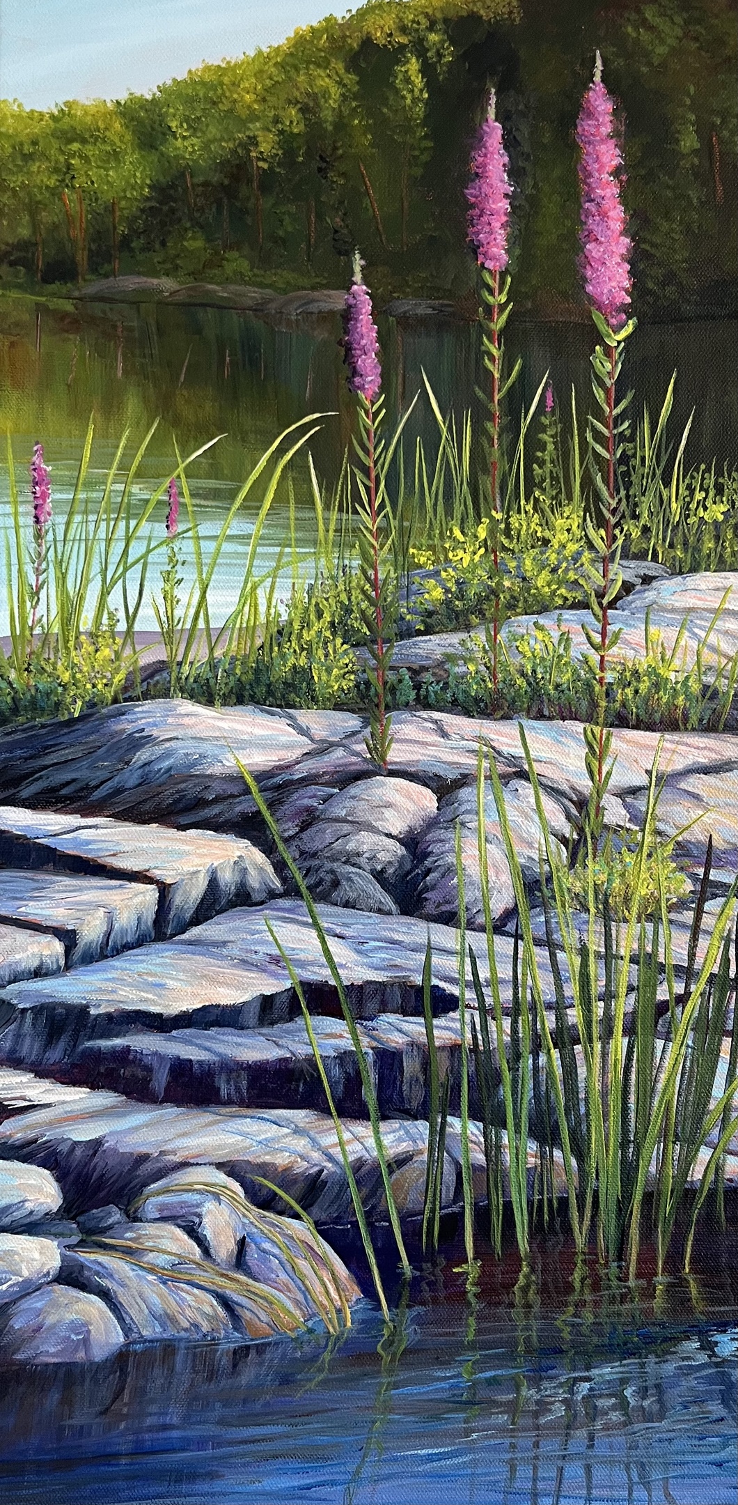 Windswept Cedar, Canadian, landscape paintings