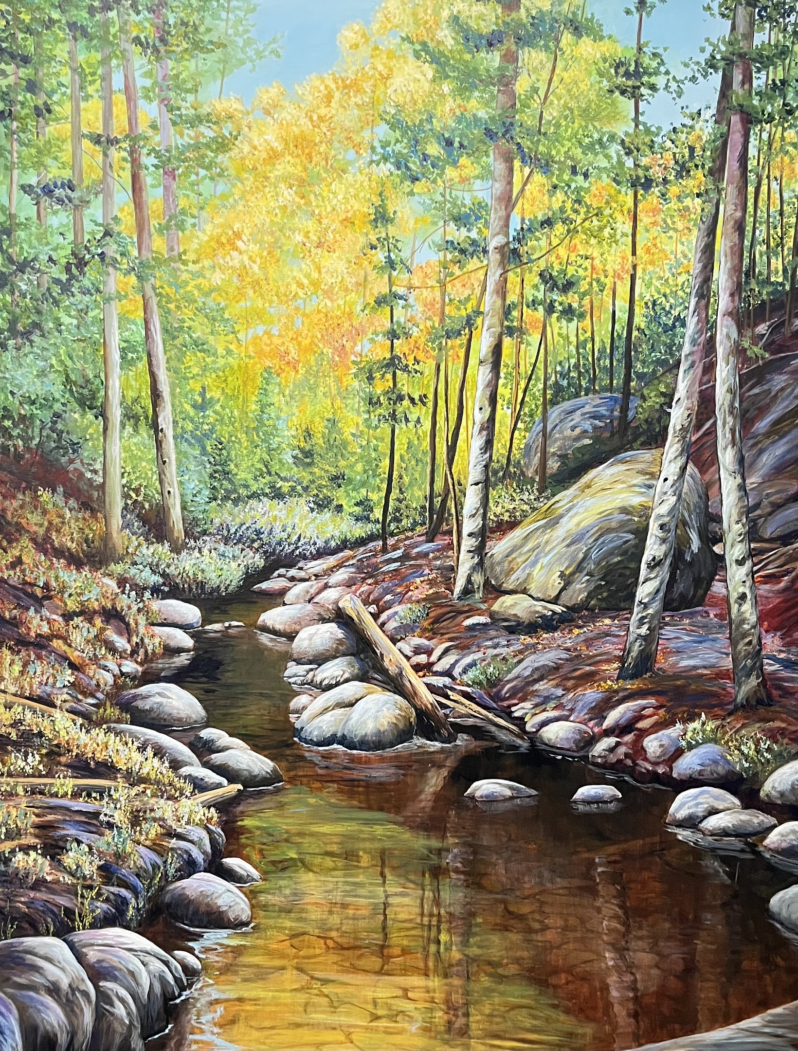 Algonquin Park, Beaver Pond Trail