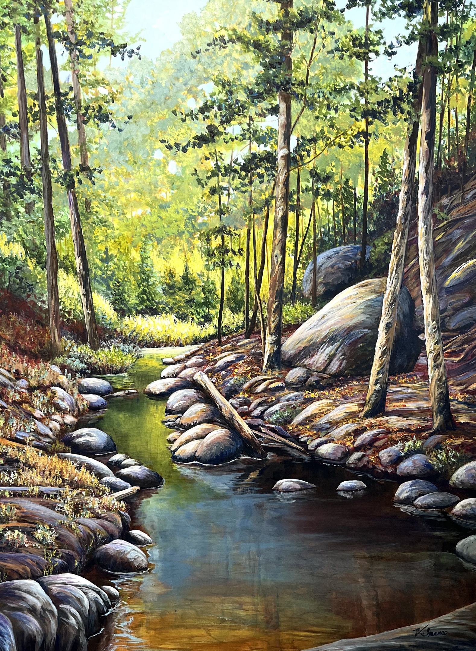 Algonquin Park, Beaver Pond Trail